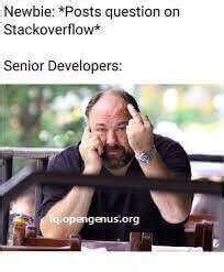 Bildergebnis für Stack Overflow Answers Meme