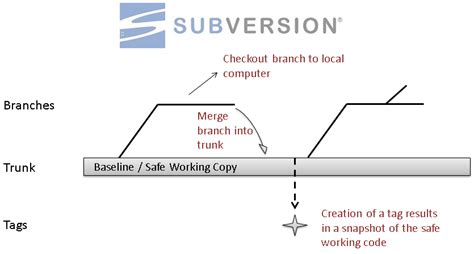 Image result for SVN Branching Best Practices