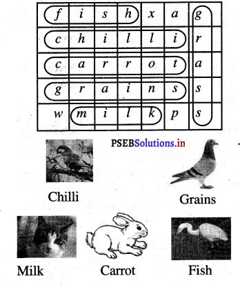 Class 3rd EVS Book PSEB に対する画像結果