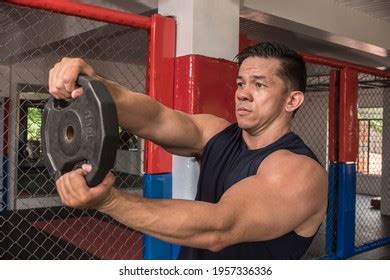 Image result for Arm Rotation