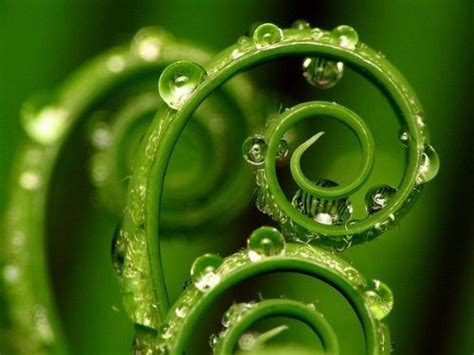 Image result for Abstract Nature Patterns