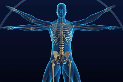 Toradh íomhá ar Functional Movement Alalysis