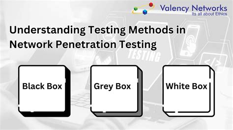 Gray Box Testing vs Black-Box Testing に対する画像結果