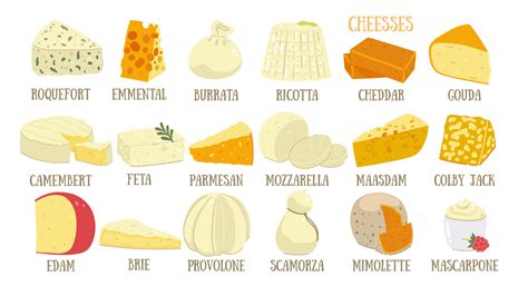 Image result for Different Types Cheese List