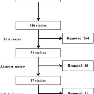 Image result for Flowchart Voorbeeld Systematic Review