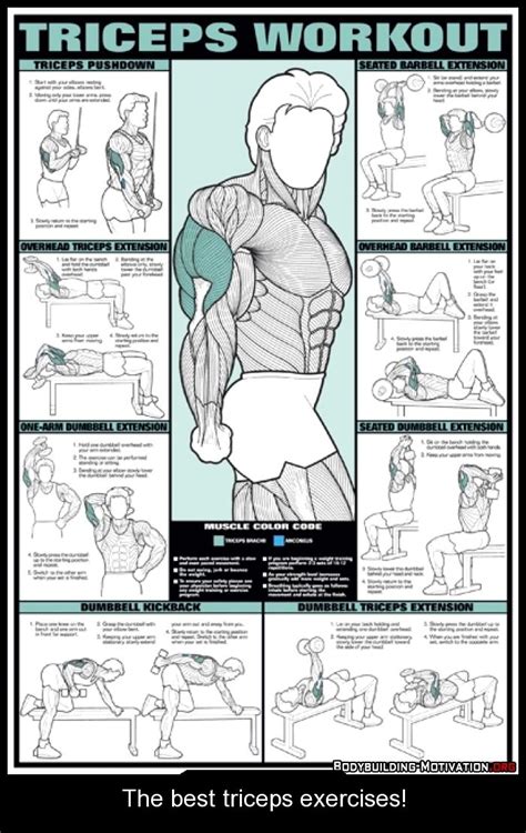 Image result for Good Tricep Workouts