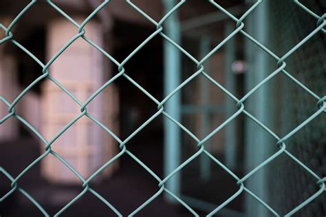 Toradh íomhá ar Grid Line Texture