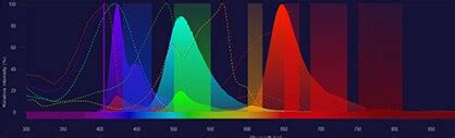 Image result for Flow Cytometry Panel
