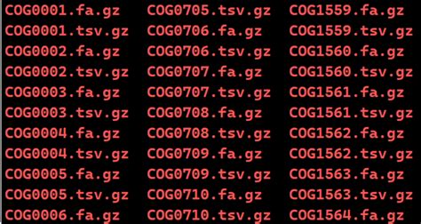 Image result for Cog Code Generation