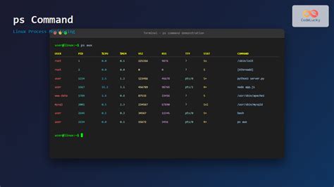 What Is PS Command in Linux に対する画像結果