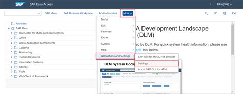 Image result for SAP GUI Settings
