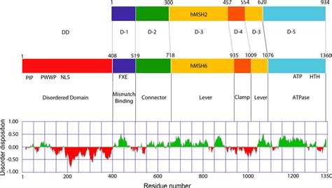 Image result for Compass 2020