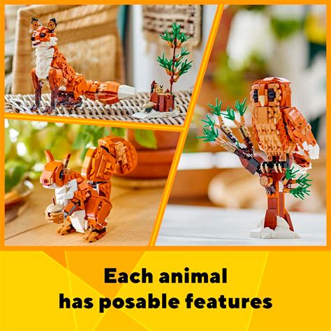 Toradh íomhá ar Fox It Java Creator