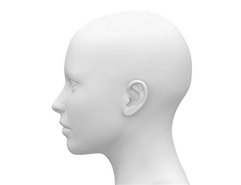 Human Head Side Pattern に対する画像結果