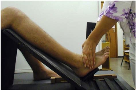 Image result for Talus Mobilization