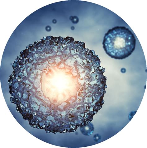 Image result for 5MP Microscope Camera Image Cells