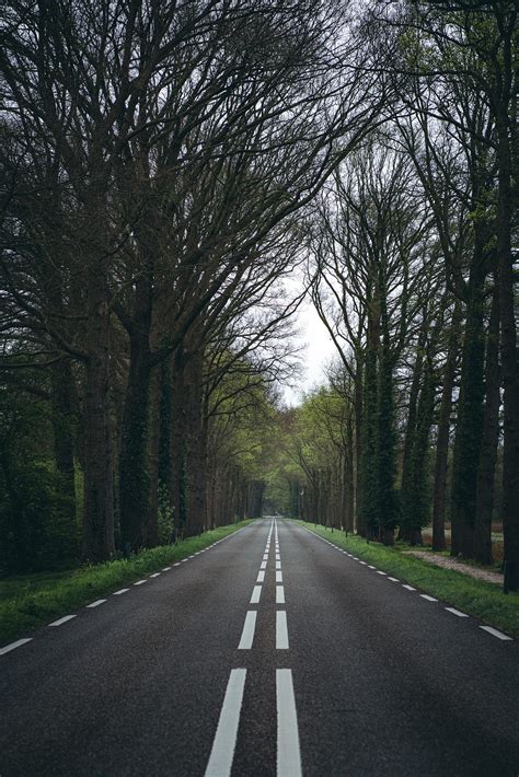 Future Parallel に対する画像結果