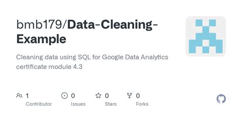 Image result for Data Cleaning Project SQL GitHub