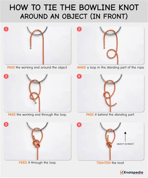 Image result for Bowline Knot Diagram