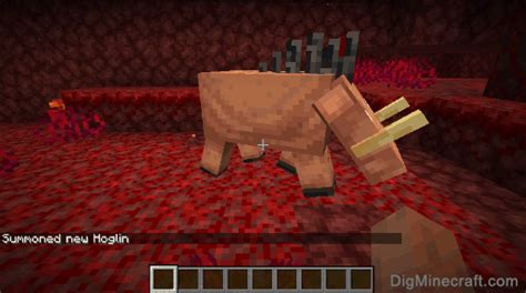 Image result for How to Tame Hoglin in Minecraft