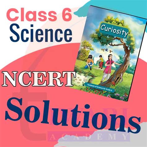 Image result for Class 6 Science CH