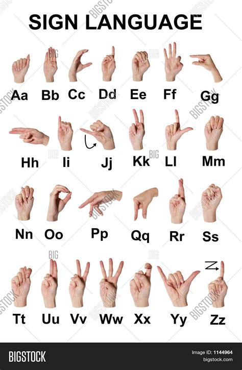 Sign Language Word に対する画像結果