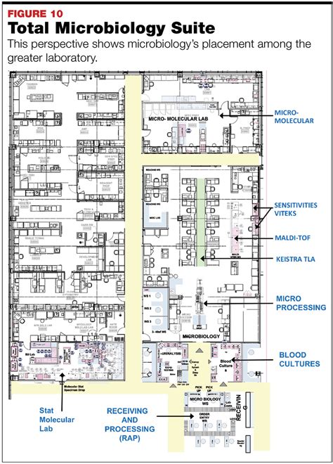 Image result for Microbiology Lab Layout