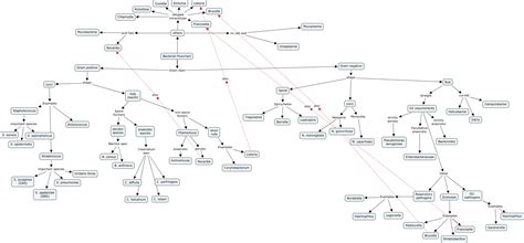 Image result for Gram positive Cocci Flow Chart