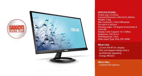 Image result for Asus LCD Monitor