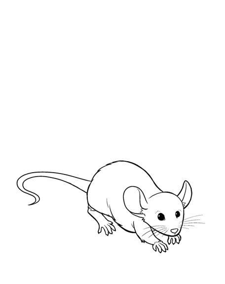 Lab Mouse Dead Drawing に対する画像結果