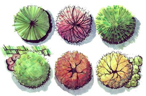 Image result for TreePlan Abstract