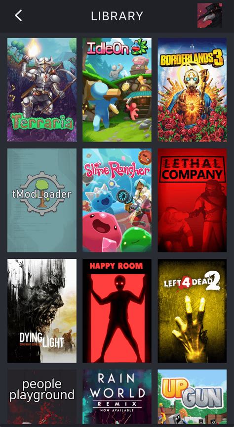 Toradh íomhá ar How to Open My Steam Library