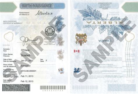 Image result for Sample of Canadian Long-Form Birth Cert