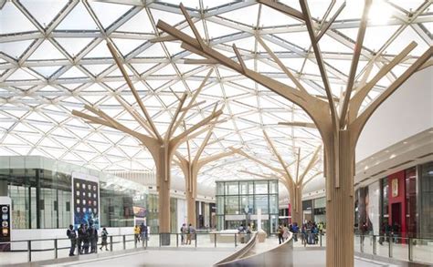 Image result for Tree Structure for Projects