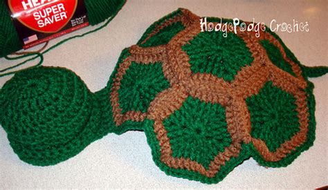 Image result for Real Baby Turtle Shell Pattern