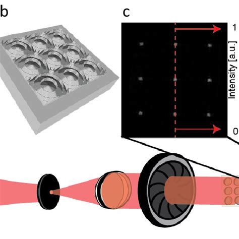Afbeeldingsresultaten voor Micro Lens