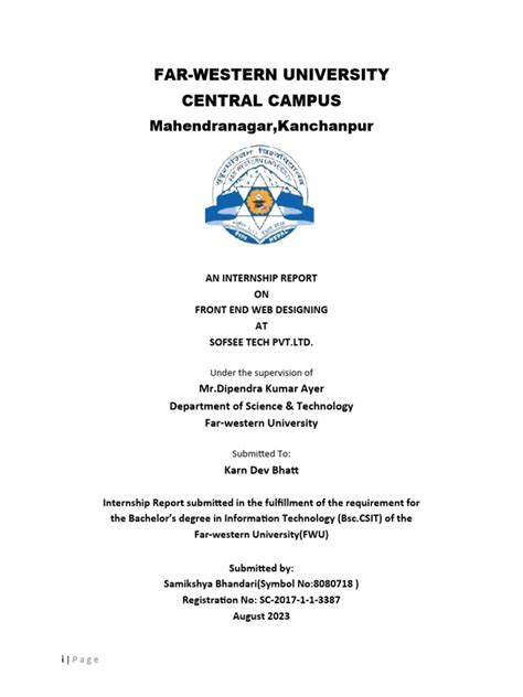 Image result for Project Report On a Page Examples