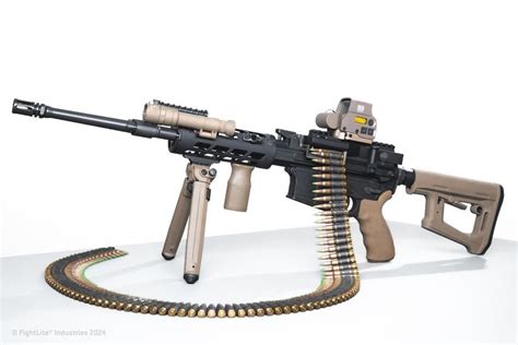 Toradh íomhá ar Belt Fed Python