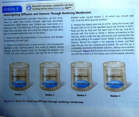 Toradh íomhá ar Investigating Diffusion Lab