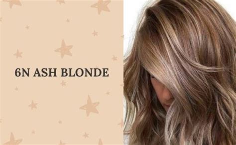 Image result for 6N Hair Color
