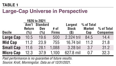 Image result for Large Cap Stock Index Fund