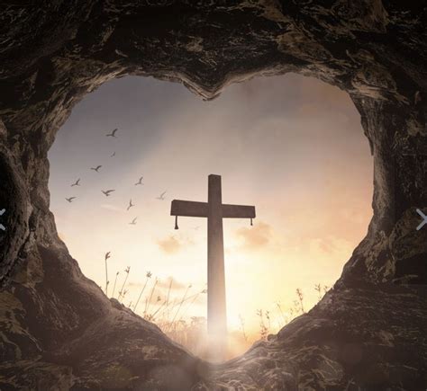 Image result for Cross Trainer SXT Pumps Two 5662