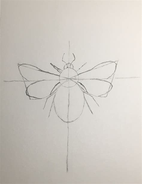 Image result for Basic Bumble Bee Drawing