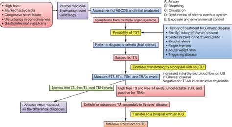 Image result for Thyroid Hormone Algorithm