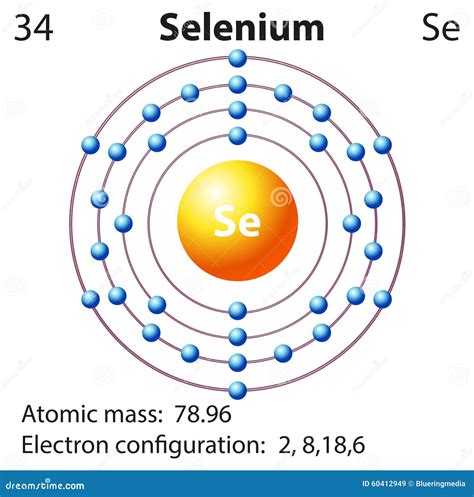 Image result for Atom Structure of Selenium