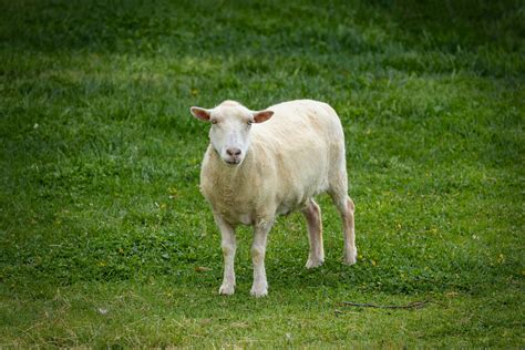 Quiz Wallpaper に対する画像結果