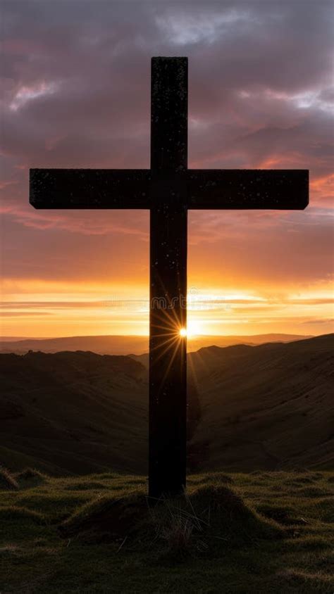 Image result for Cross Trainer SXT Pumps Two 5662