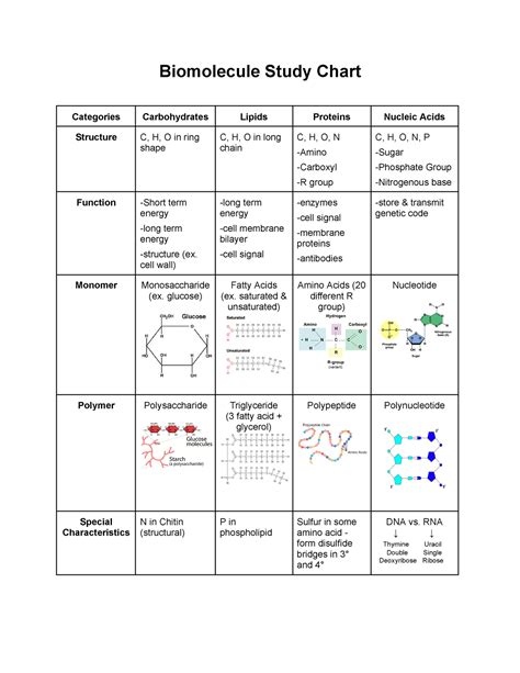 Toradh íomhá ar Bio Study Chart