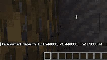 Afbeeldingsresultaten voor TP Yourself in Minecraft Java