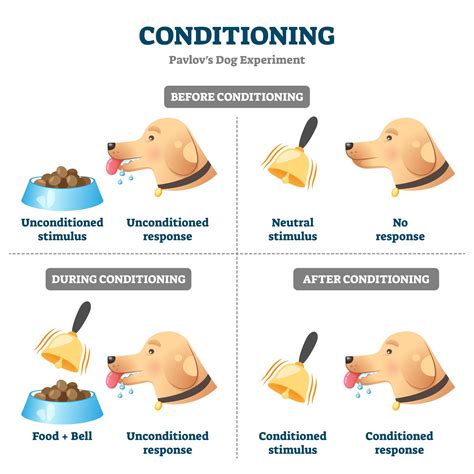 Signal Conditioning Examples కోసం చిత్ర ఫలితం